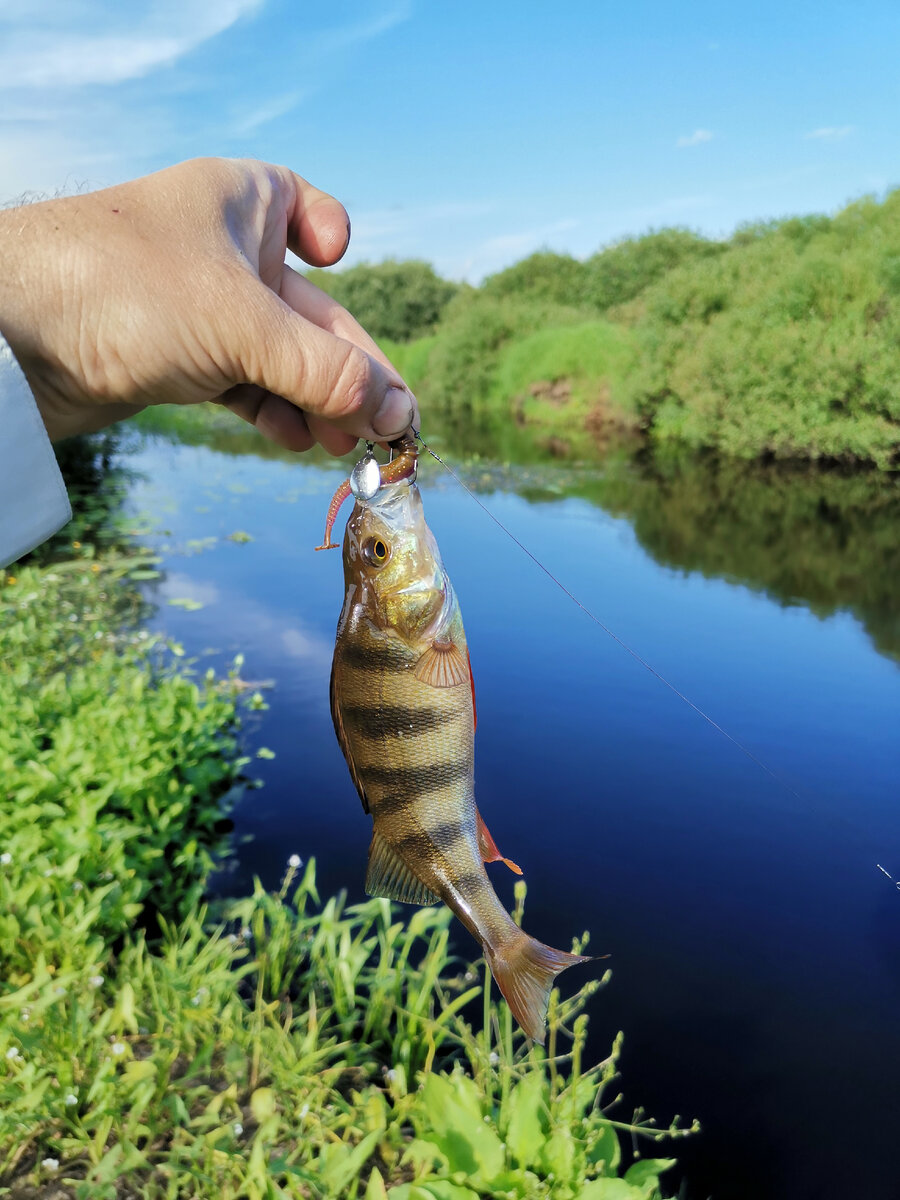 Окунек на китайский джиг 4гр