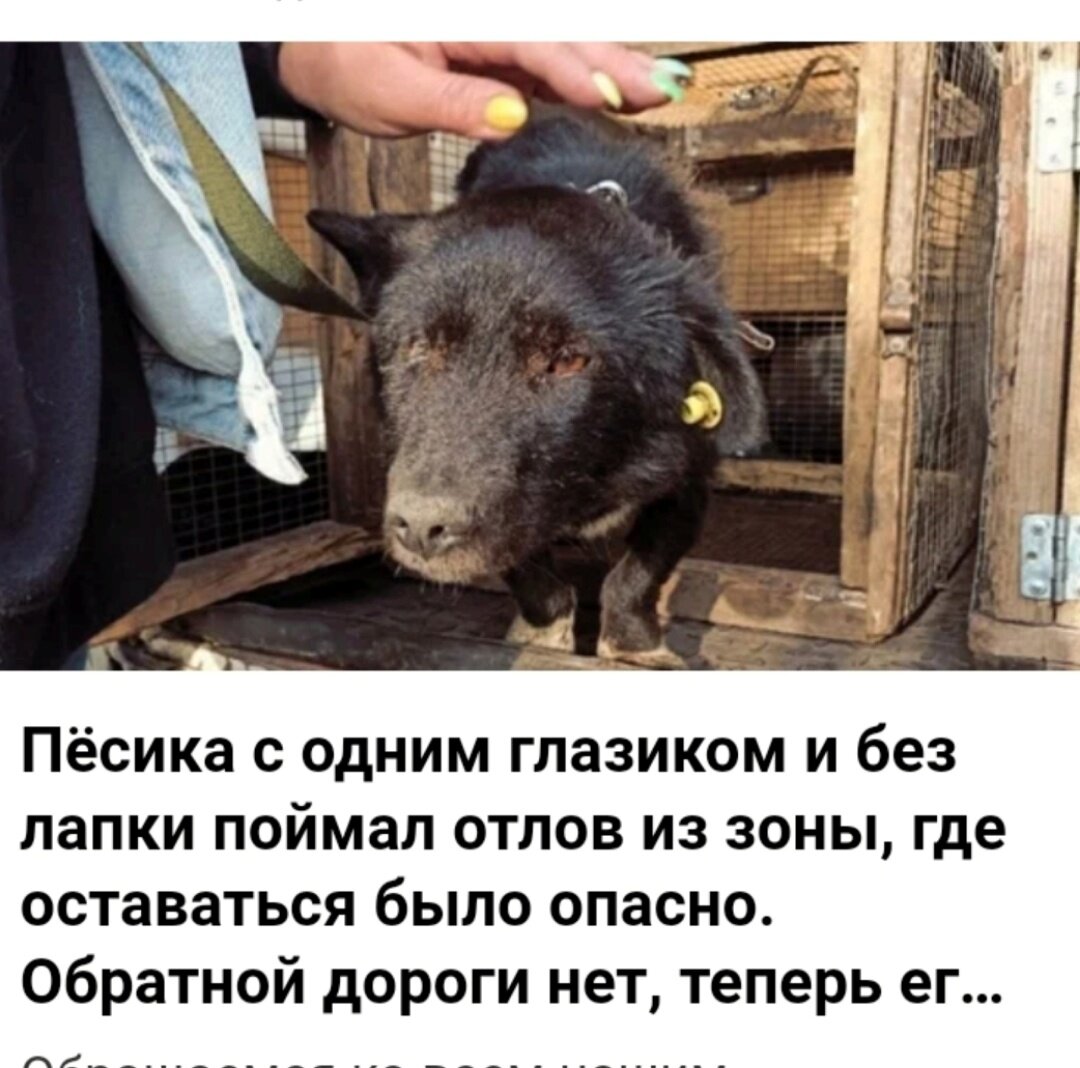 Спасибо всем, кто помог нам с Тимкой