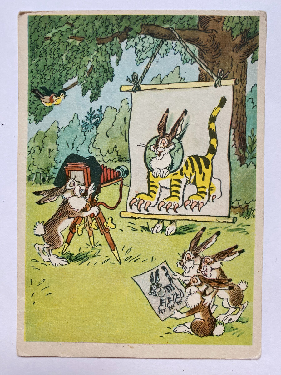 Зайка-фотограф. Художник А. Баженов. 1958.