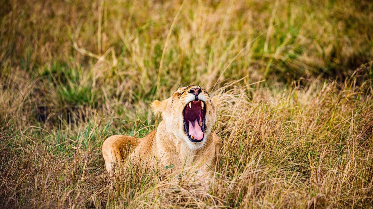     Михаил Охлопков рассказал, как мужчинам повысить тестостерон: об этом он написал на своей странице «ВКонтакте».