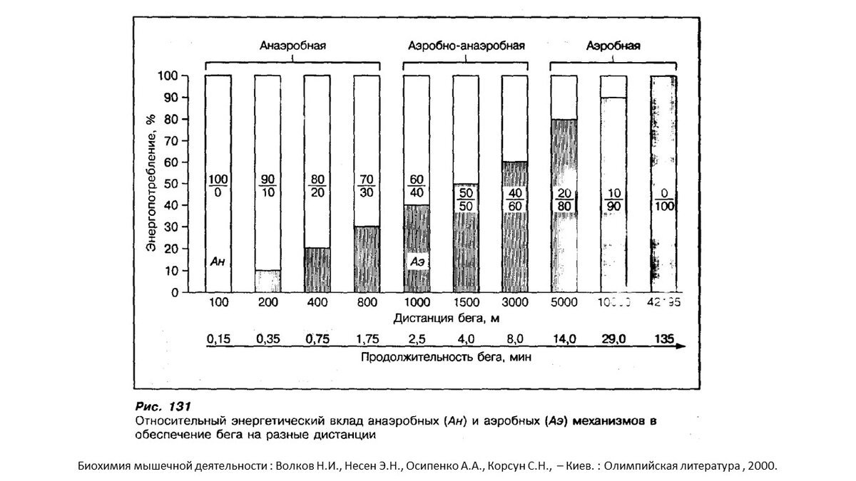 Рисунок 2. Классификация упражнений по типу доминирующего энергообеспечения на примере бега.