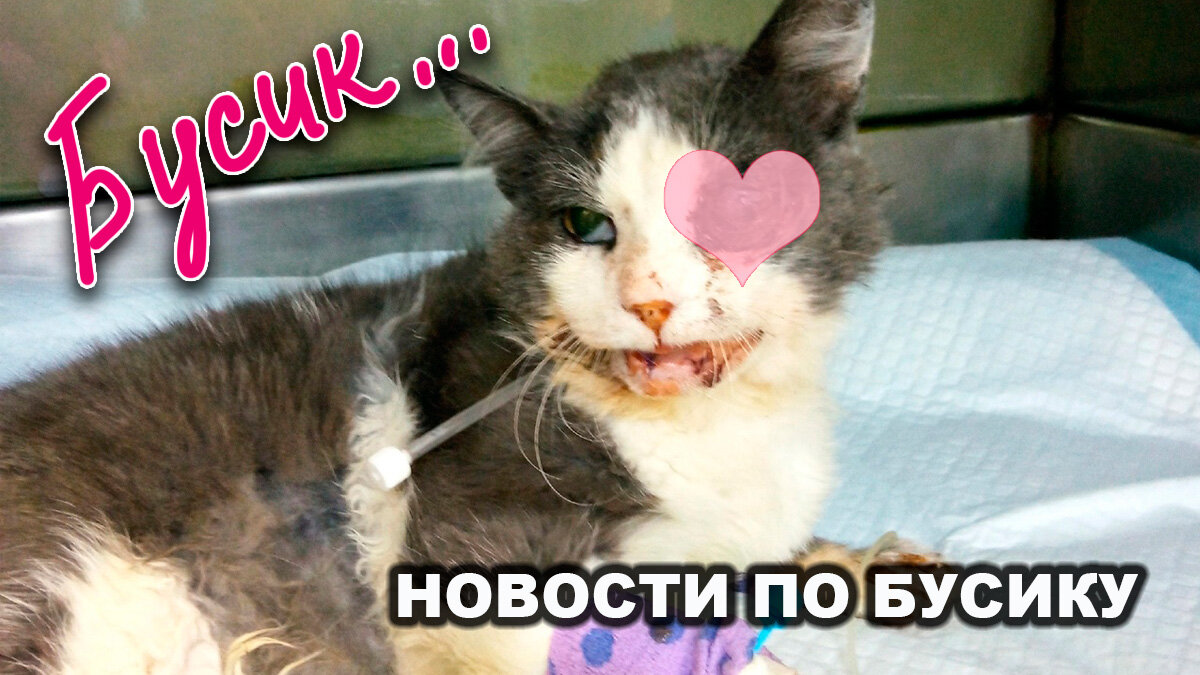 Все фотографии в тексте - автора