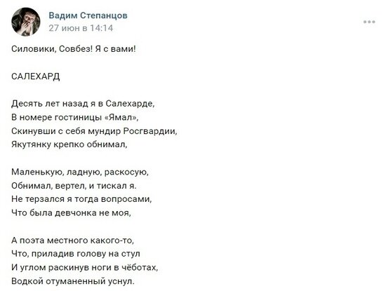     Отрывок из стихотворения. Фото: vk.com Вадим Степанцов