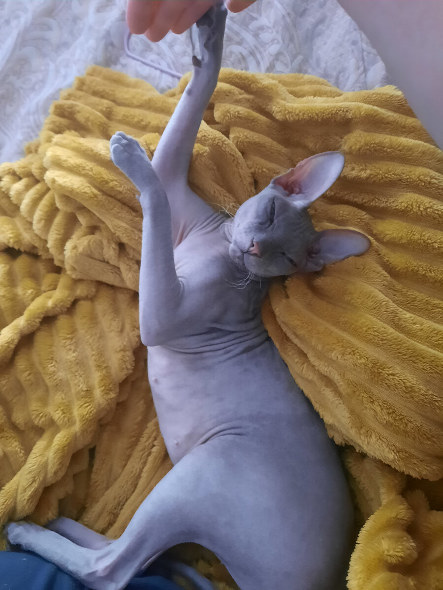 Приветики🐾 Тимофей и все мои друзьяшки ❤️