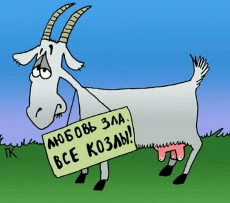 Картинка из открытого доступа