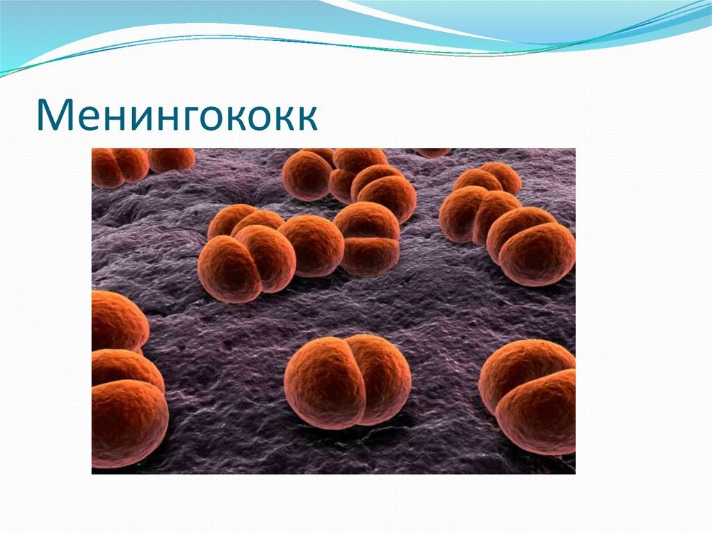 Источник: artembolnica2.ru 