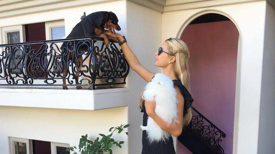 Фото: © Соцсети