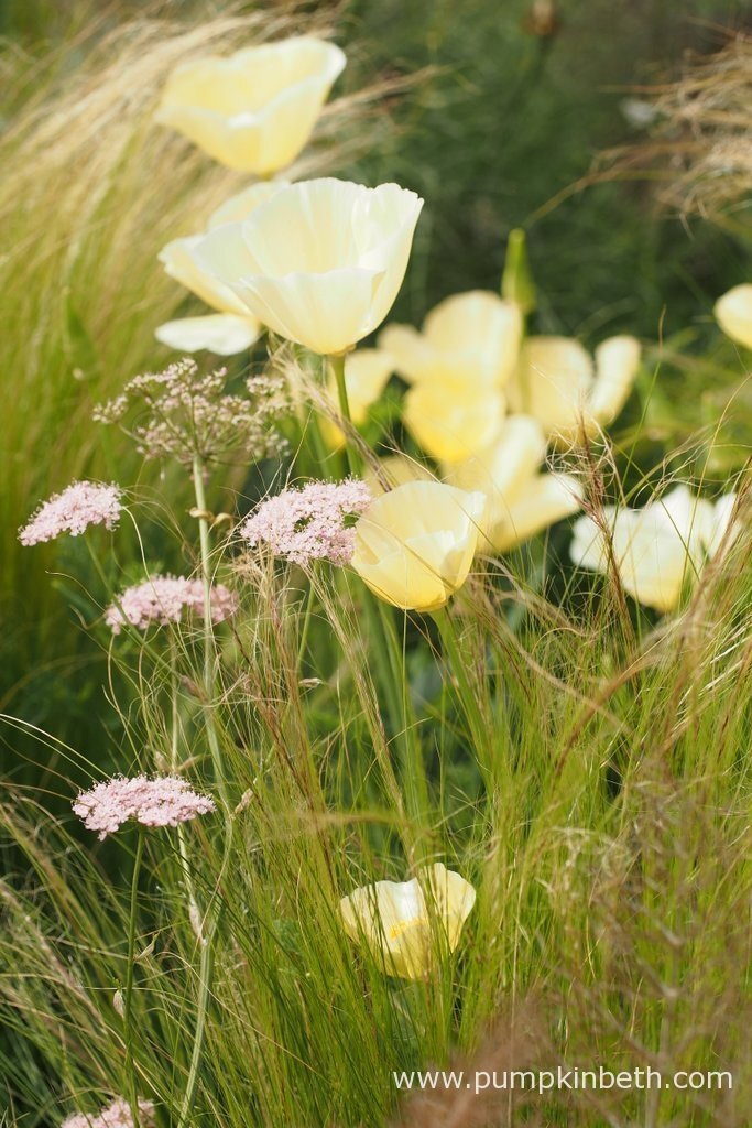 ИСТОЧНИК: https://www.pumpkinbeth.com/2017/05/matt-keightley-jeremy-vine-texture-garden/