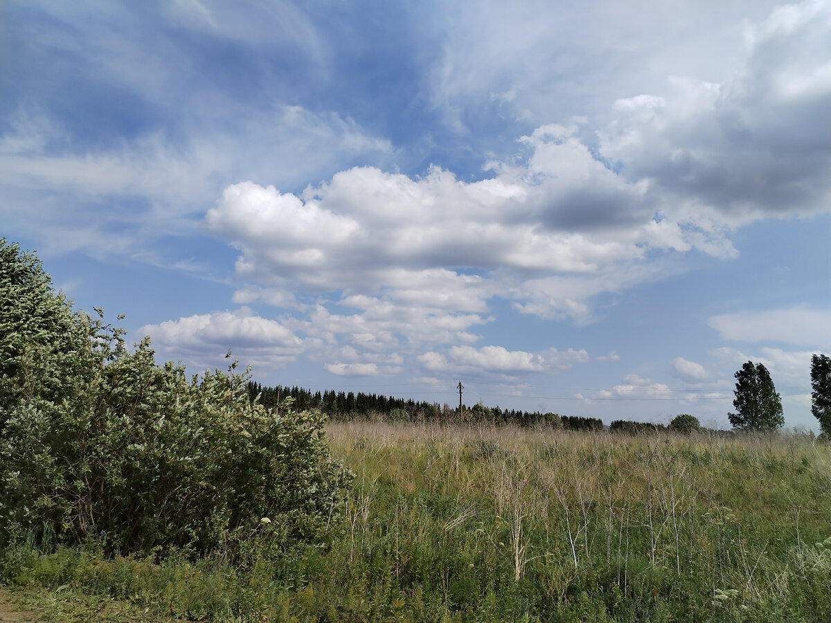 Село Танып Бардымский район