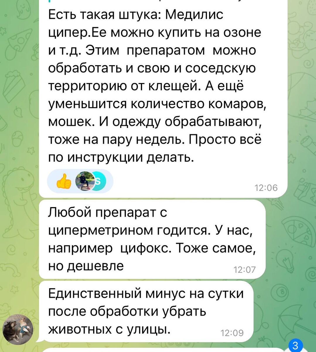 Советчиков в интернете хватает 