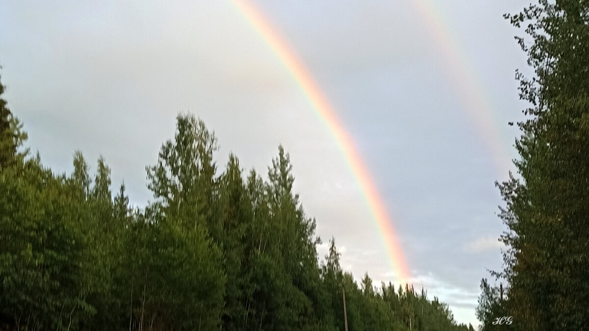 Правая половинка