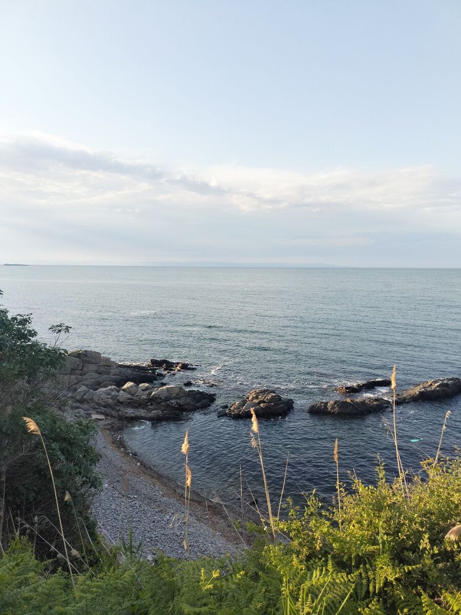 Прекрасное далёко