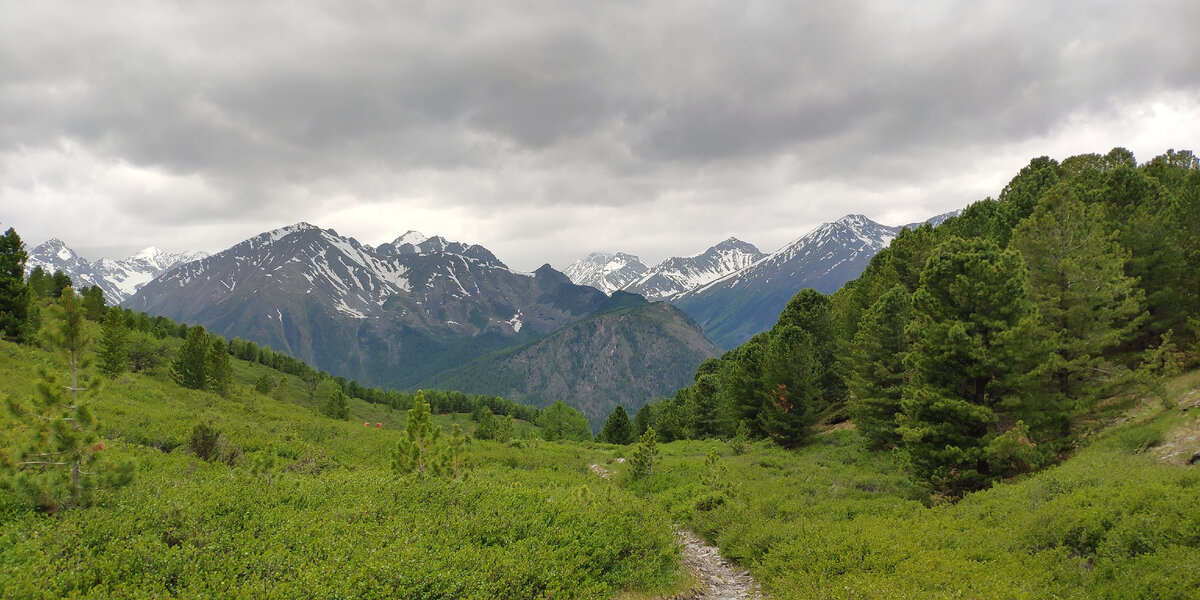 Окрестности кедровых стоянок