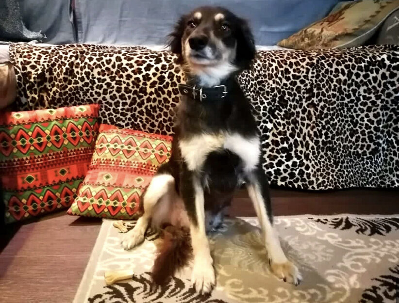 Диночка в квартире, где жила одна 