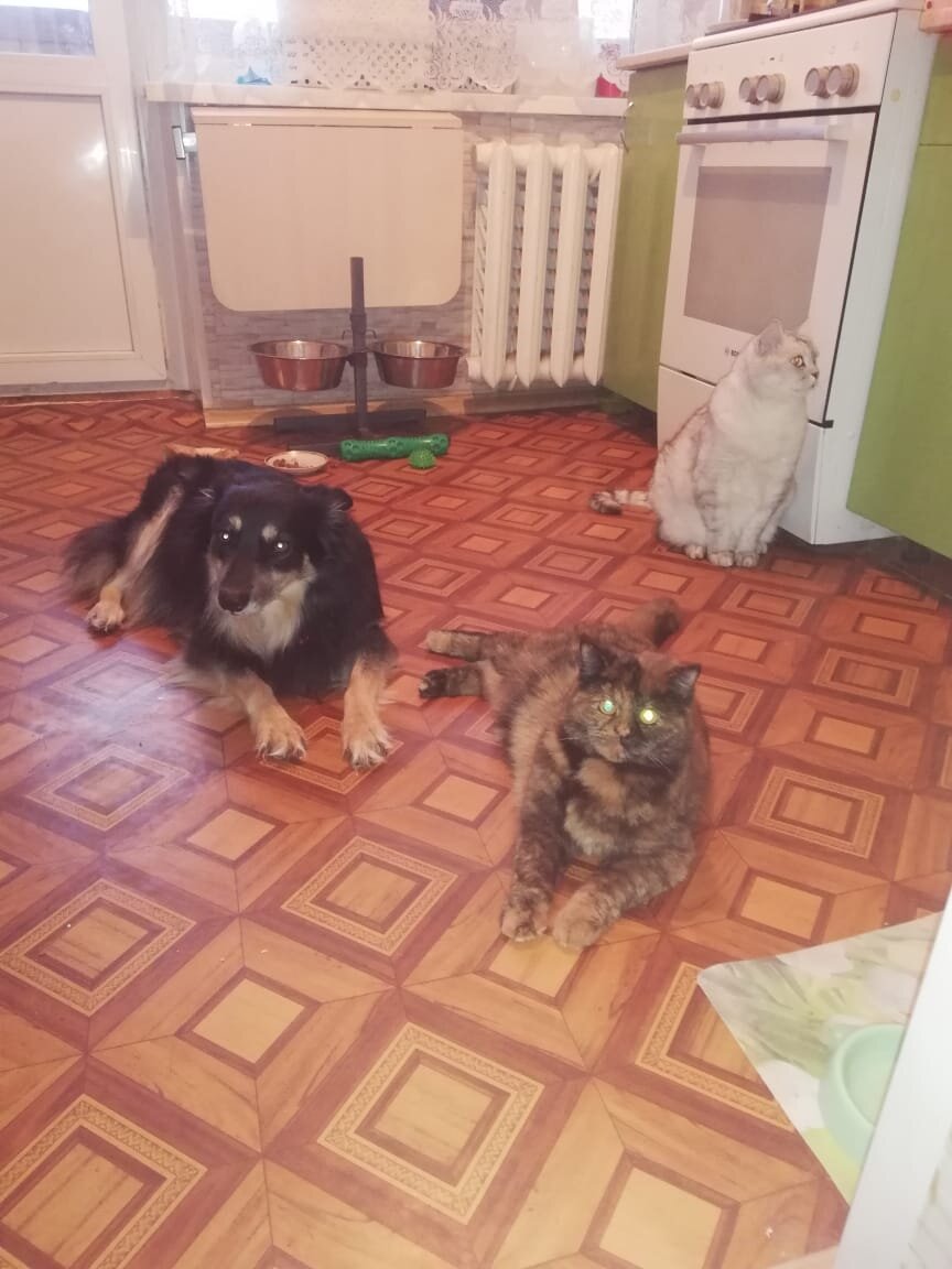 Посиделки❤️