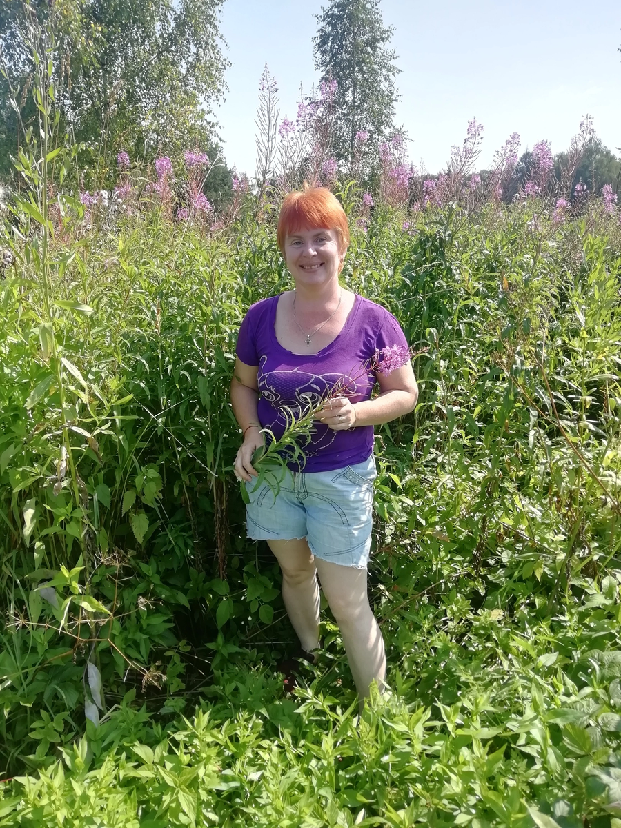 В зарослях Иван-чая