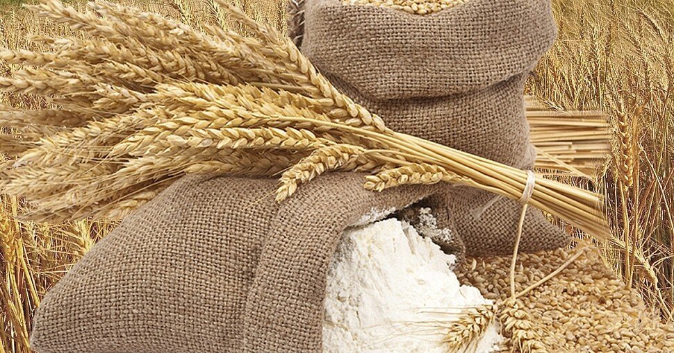 Органическая мука, выращенная на экоагропроизводстве