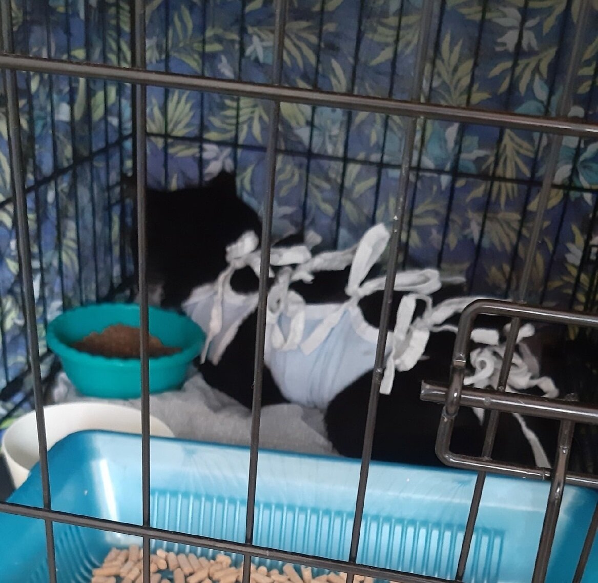 После операции