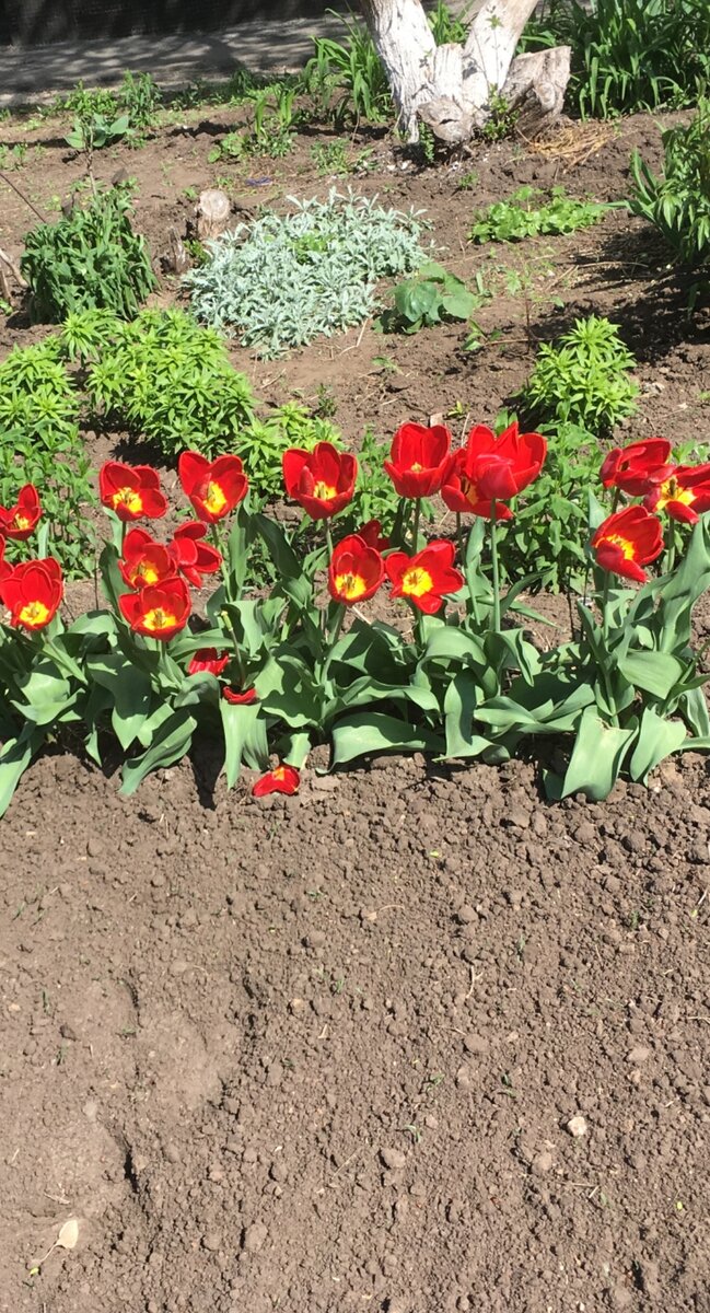 Фото для иллюстрации