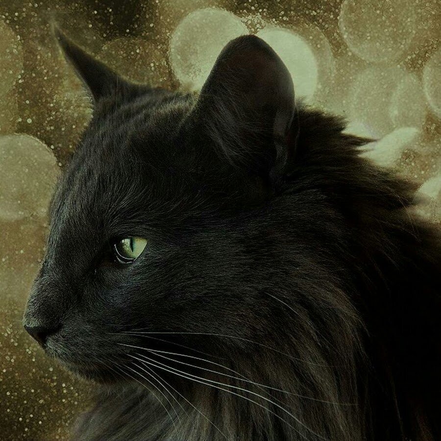 Фото из Яндекс.Картинки