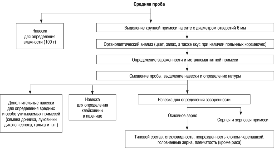 Проба для анализа. Схема отбора проб теста. Схема отбора проб зерна. Методика отбора точечных и средних проб. Правила отбора средней пробы.