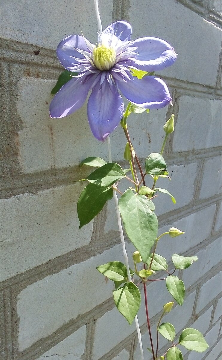 Фото автора, ищущего опору у читателей 