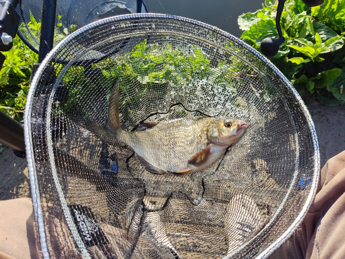 "...изначально приходится искать не только визуально перспективные места, но и убеждаться на наличие в них рыбы."