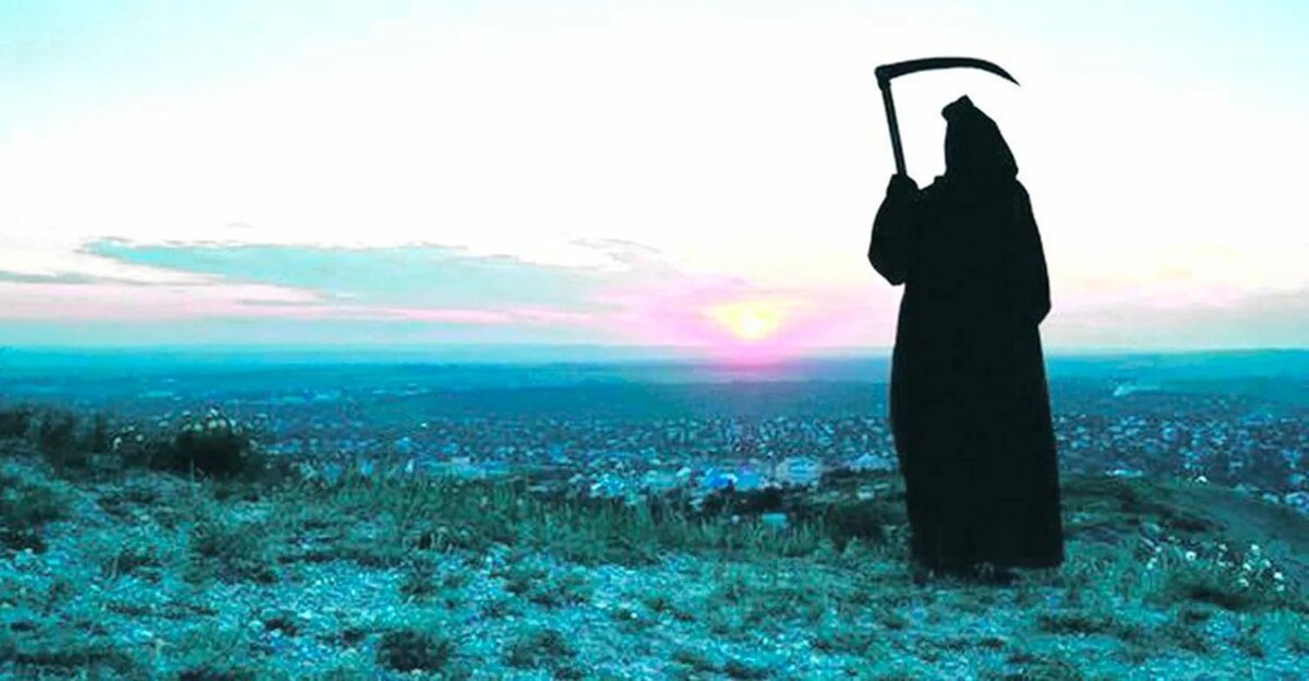 фото из открытого доступного источника сети интернет