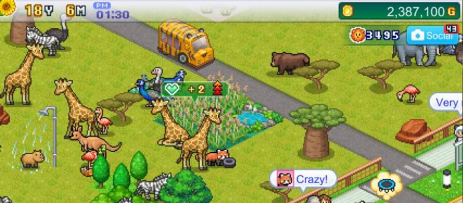 Zoo game switch online