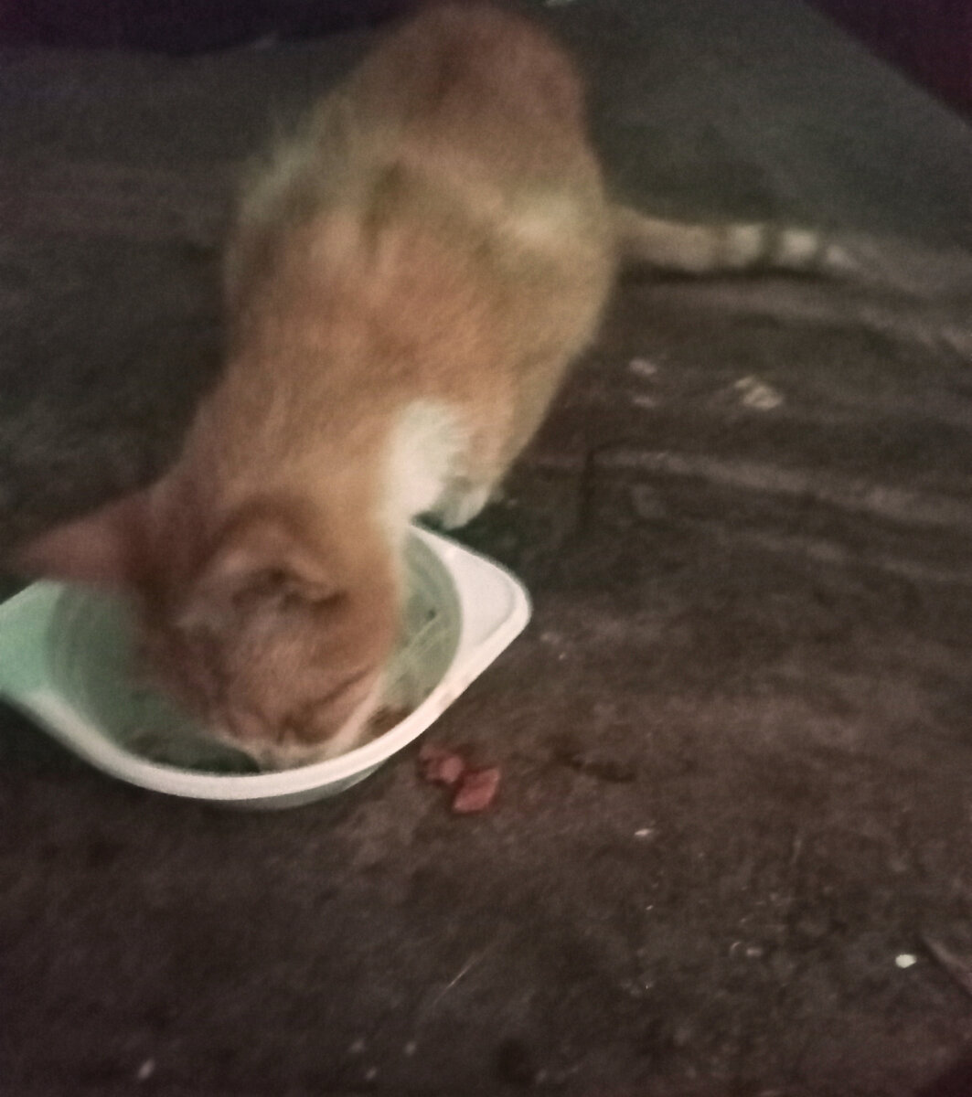 Фото из семейного архива