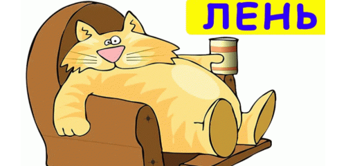 гифки от мурки))