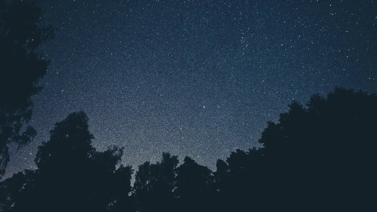 23.07.203 - Зеркальная дата июля. Фото: www.piqsels.com