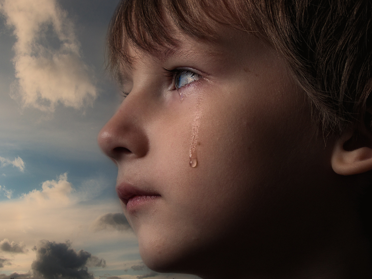 картинка из поиска яндекса