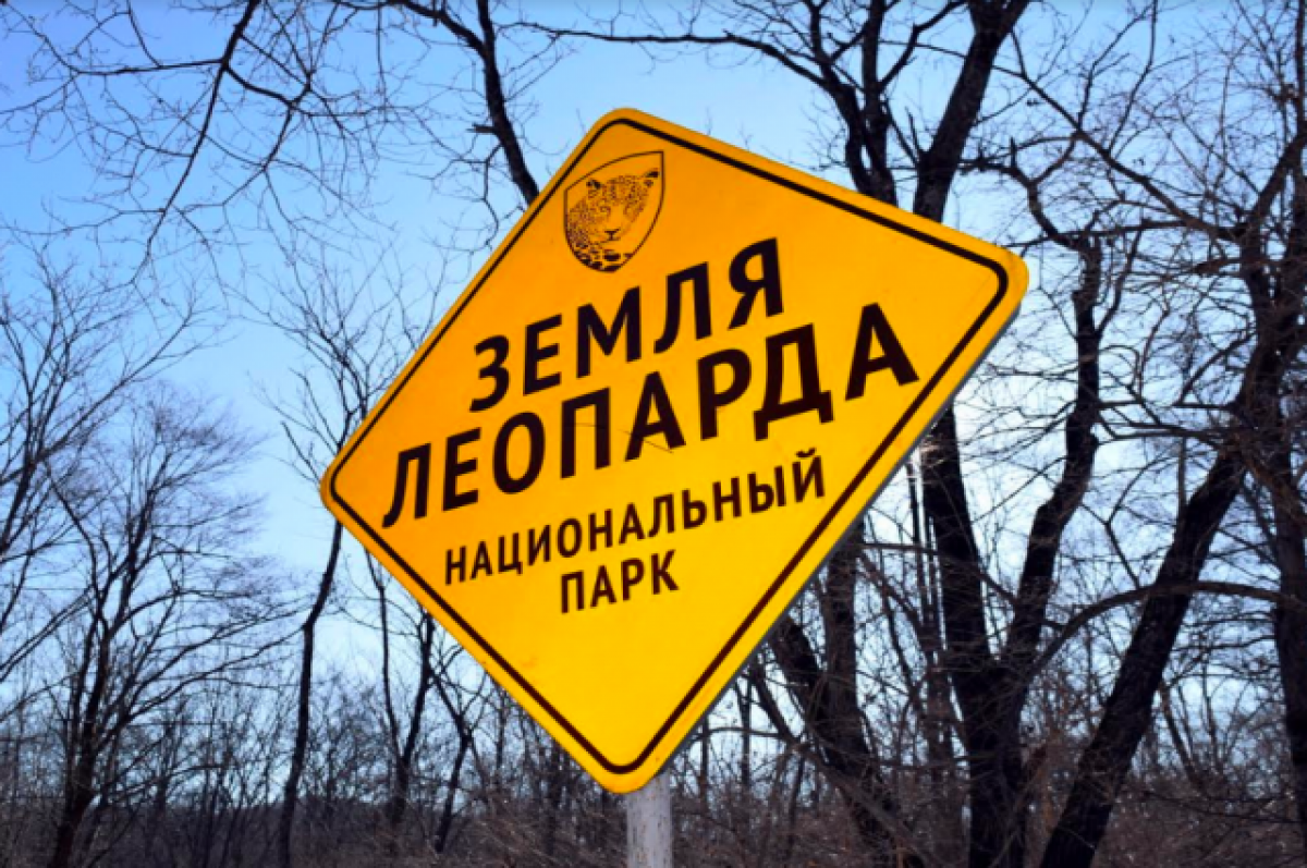    Скандальный дизайнер Лебедев подружился с нацпарком «Земля леопарда»