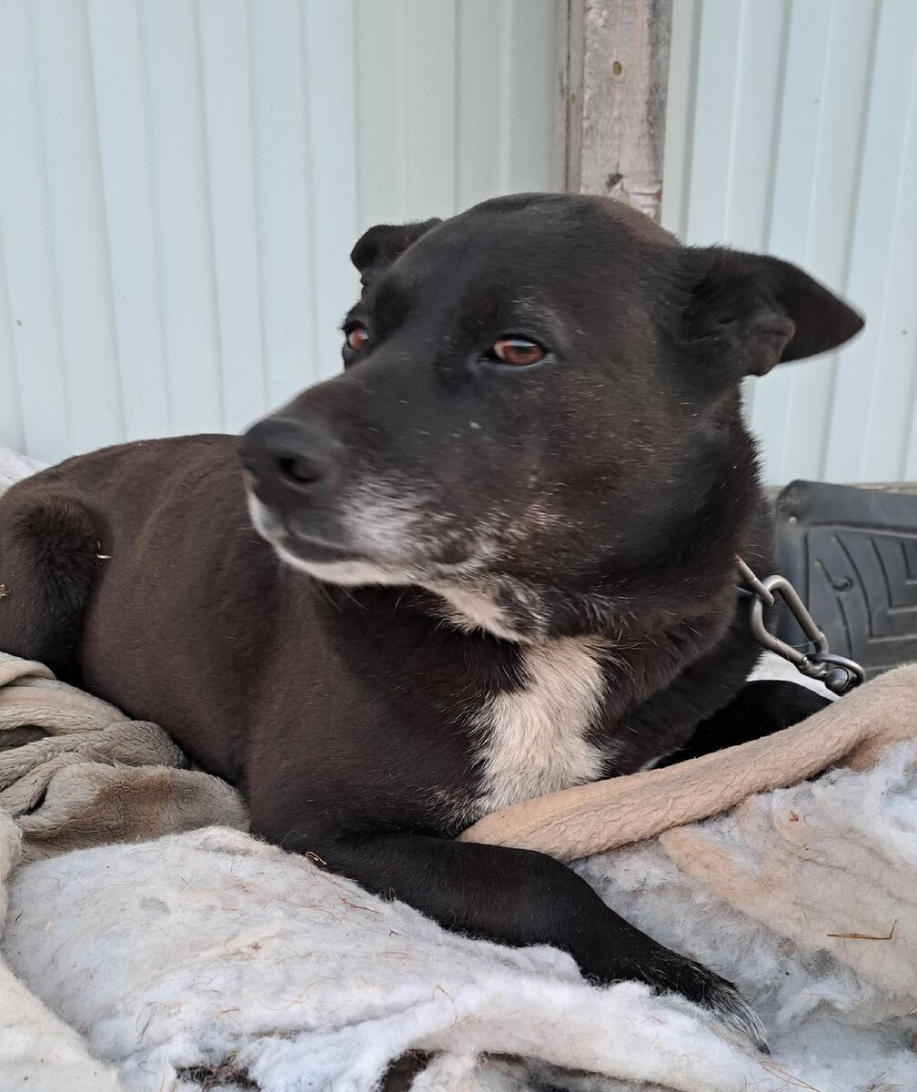 Тайс. Фотография из личного архива