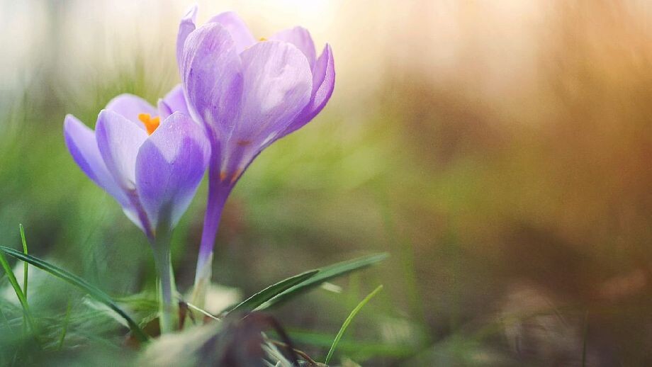 Фото: pxfuel.com