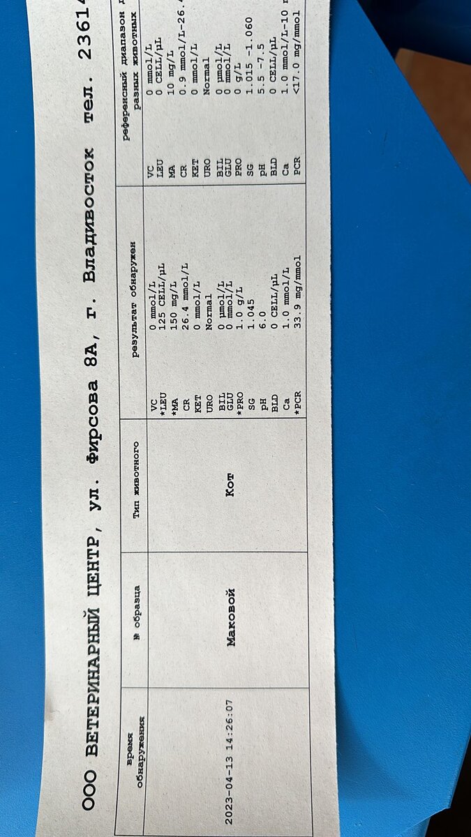 Что-то на врачебном)