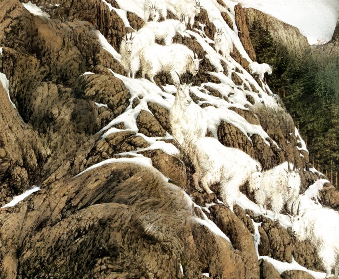 Задание на внимательность №1