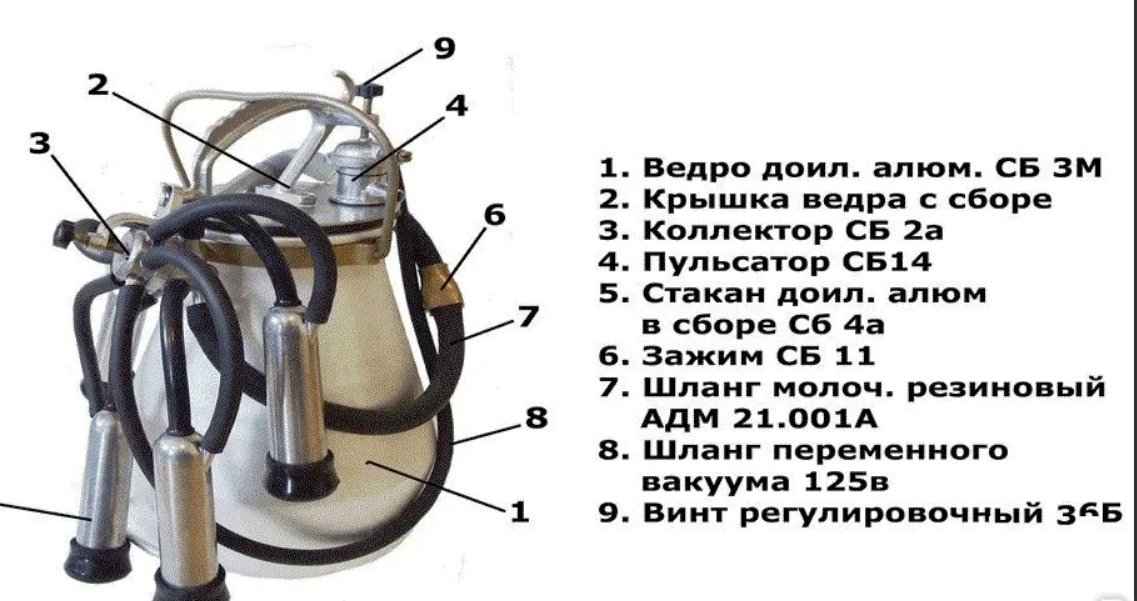 Принцип работы доильного аппарата