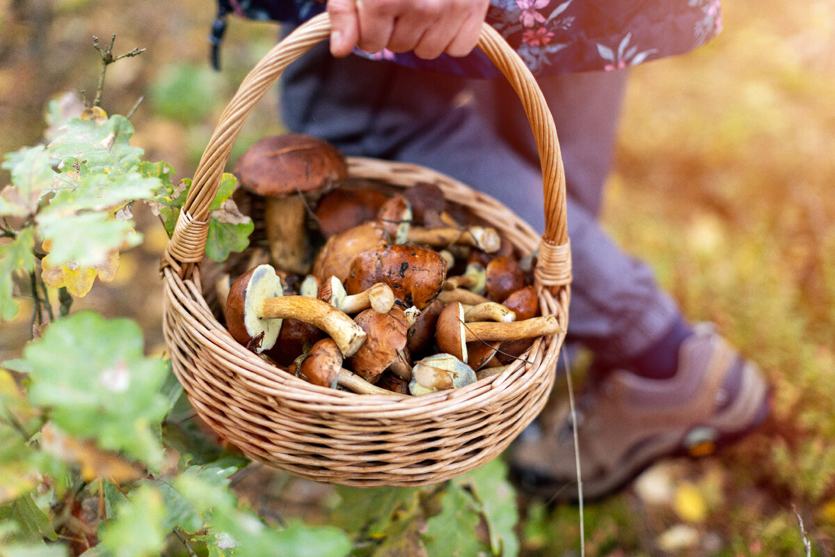   Фото: istockphoto/PIKSEL