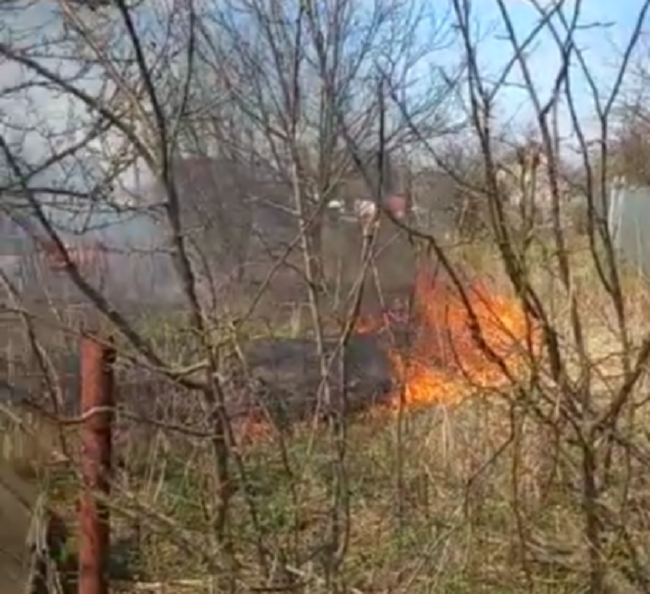    На окраине Брянска сухая трава вспыхнула огненной стеной в дачном обществе «Электрон» avchernov