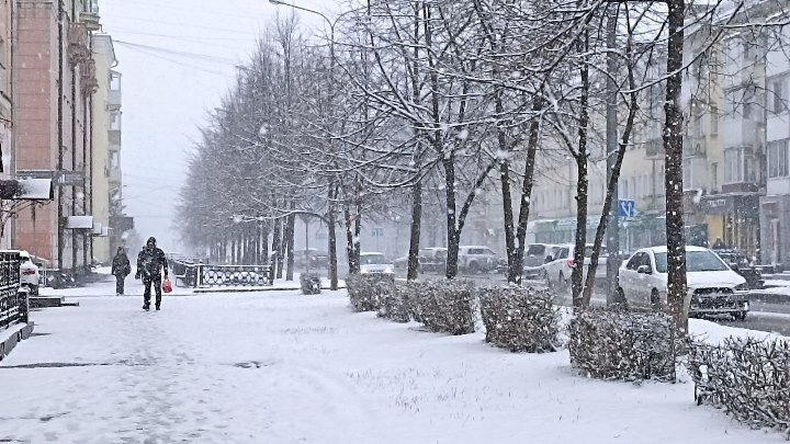 Фото: Царьград