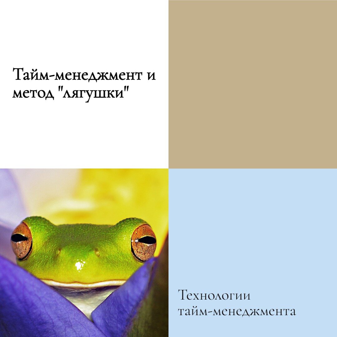 Съесть лягушку тайм менеджмент. Дела лягушки в тайм менеджменте.