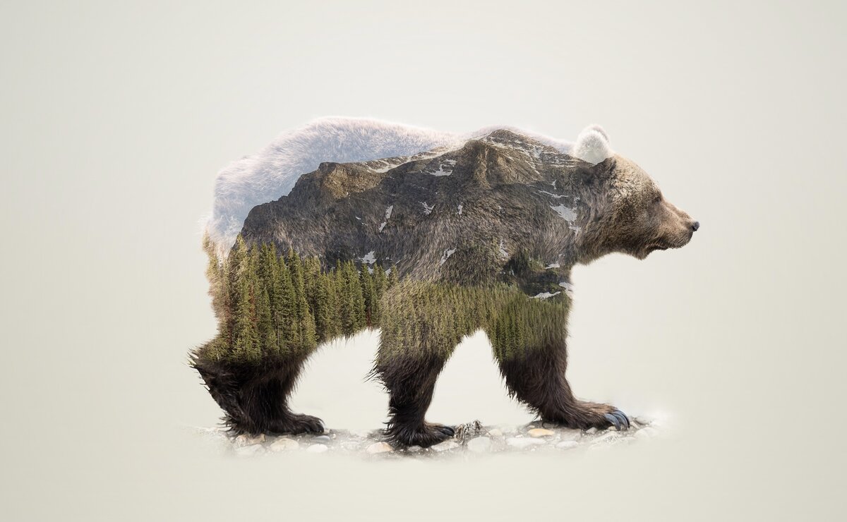 Человек-медведь в представлении русского человека: сильный, бесстрашный, лютый, «сам себе на уме». Яндекс фото