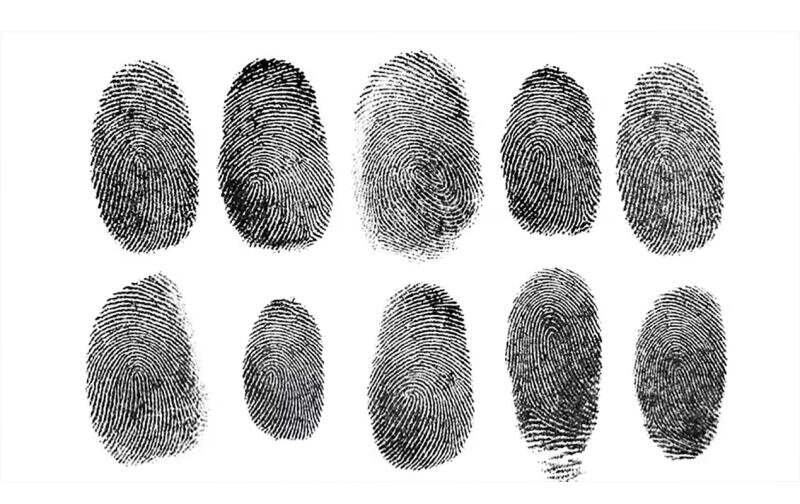 Одинаковые ли отпечатки пальцев у близнецов однояйцевых. У близнецов разные отпечатки. Интересные факты женщинам близнецы. Гаргас таблицами отпечатков «безпалых» рук. Отпечатки пальцев однояйцевых близнецов.