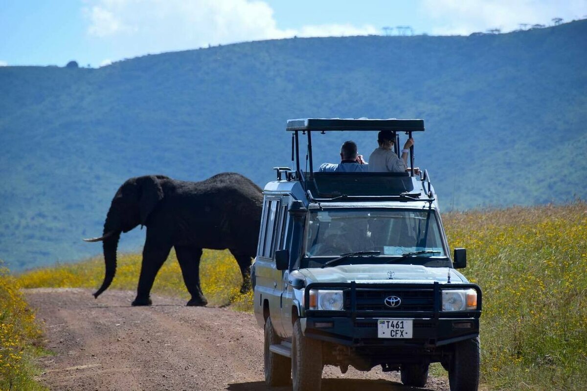     Фото: ncaa.go.tz