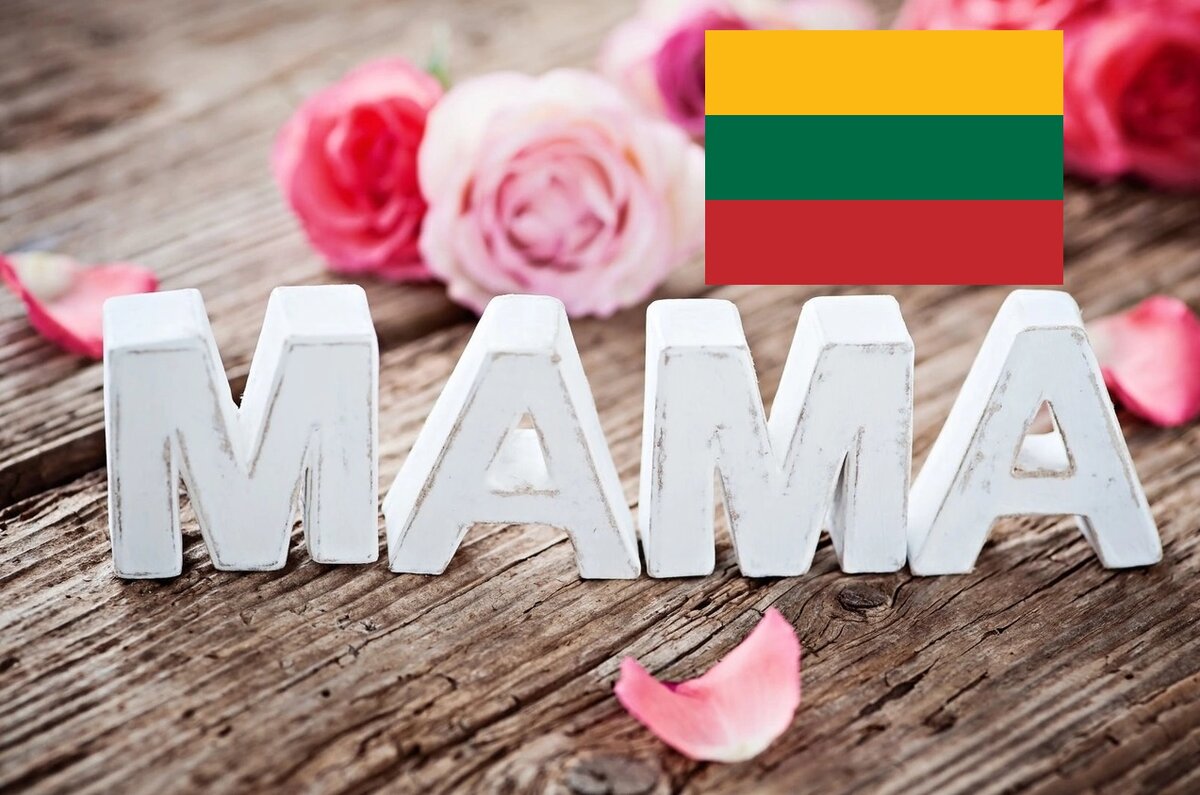 San Ant: Схожесть русского и литовского языков. Секрет: как моментально выучить 60 литовских слов?!