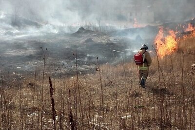    Пожарные Подольска потушили возгорание из-за пала травы ©страница ГКУ МО «Мособлпожспас» во «ВКонтакте»