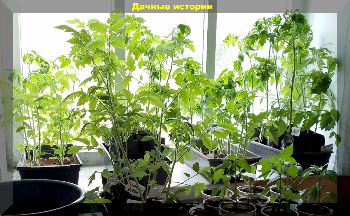 https://vk.com/photo-159774511_457260191