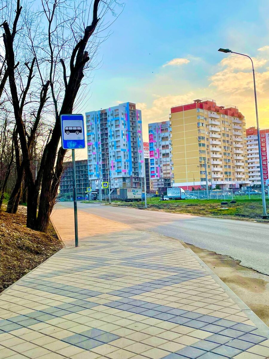 Хорошая экология привлекает собак?